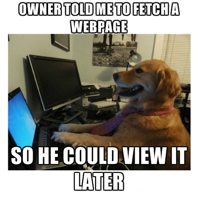 computer dog fetching