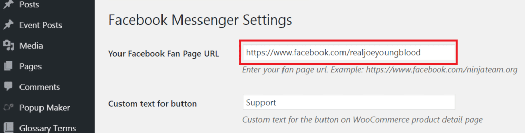 facebook messenger fan page settings