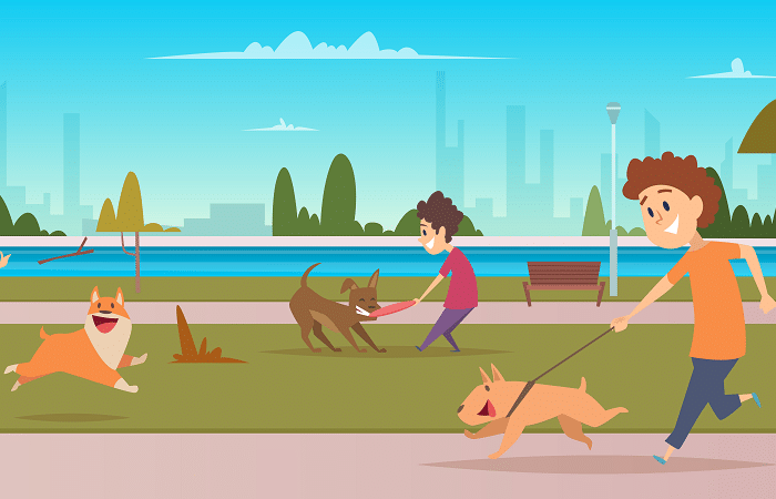 dogs and humans in a park playing